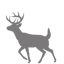 deer-small (PNG - 2kb)