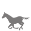 equine-small (PNG - 1kb)