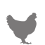 poultry-small (PNG - 1kb)